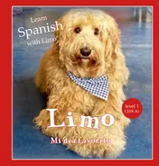 Omslag van Limo - Mi día favorito
