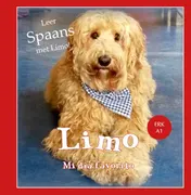 Omslag van Limo - Mi día favorito
