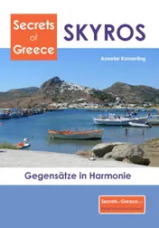 Omslag van SKYROS mal anders!
