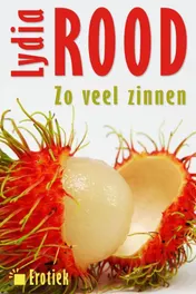 Omslag van Zoveel zinnen van Lydia Rood