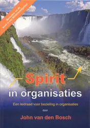 Omslag van Spirit in organisaties