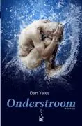 Omslag van Onderstroom