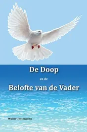 Omslag van De doop en de belofte van de Vader