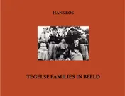 Omslag van Tegelse families in beeld