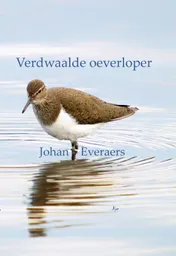 Omslag van Verdwaalde oeverloper