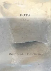 Omslag van Bots