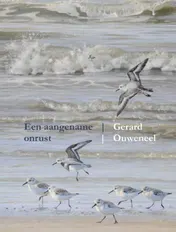 Omslag van Een aangename onrust