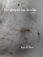 Omslag van Het gerucht van de stilte