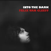 Omslag van Into the dark