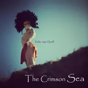 Omslag van The crimson sea