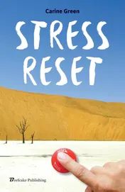 Omslag van Stress reset