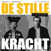 Omslag van De stille kracht