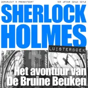 Omslag van Het avontuur van De Bruine Beuken