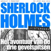 Omslag van Het avontuur van de drie gevelspitsen
