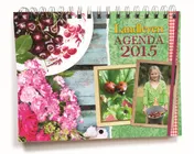 Omslag van 2015