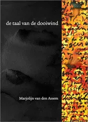 Omslag van De taal van de dooiwind