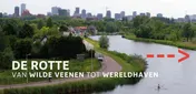 Omslag van De Rotte