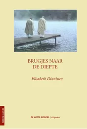Omslag van Brugjes naar de diepte
