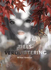 Omslag van Zielsverduistering