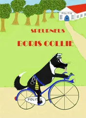 Omslag van Speurneus Boris Collie