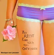 Omslag van Het recht laat zich niet ontkennen