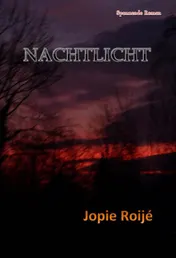 Omslag van Nachtlicht