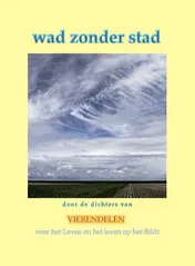 Omslag van Wad zonder stad