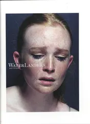 Omslag van Waterlanders