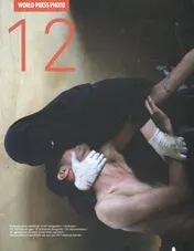 Omslag van 12