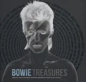 Omslag van Bowie treasures