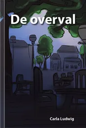 Omslag van De overval