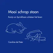 Omslag van Mooi schrap staan