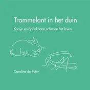 Omslag van Trammelant in het duin