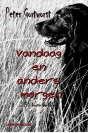 Omslag van Vandaag en anders morgen