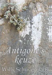 Omslag van Antigone's keuze