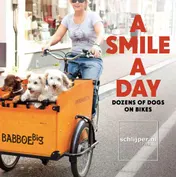Omslag van A smile a day