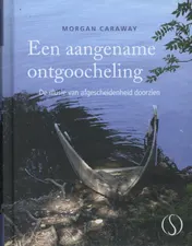 Omslag van Een aangename ontgoocheling