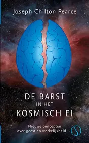 Omslag van De barst in het kosmische ei