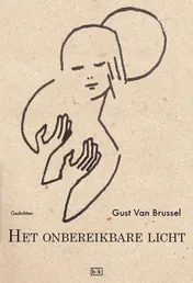 Omslag van Het onbereikbare licht
