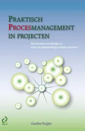 Omslag van Praktisch procesmanagement in projecten