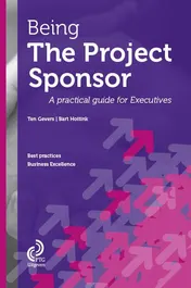Omslag van Being the project sponsor