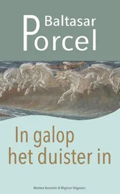 Omslag van In galop het duister in