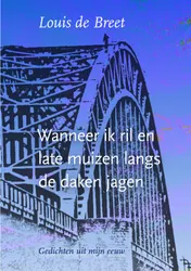 Omslag van Wanneer ik ril en late muizen langs de daken jagen