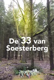 Omslag van De 33 van soesterberg