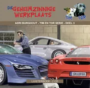 Omslag van De geheimzinnige werkplaats