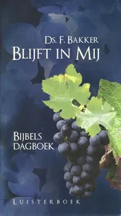 Omslag van Blijft in mij