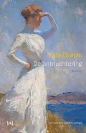 Omslag van De ontnuchtering