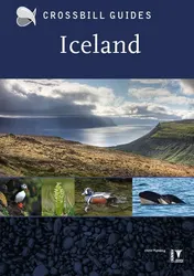 Omslag van Iceland