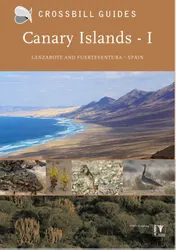 Omslag van I Lanzarote and Fuerteventura Spain