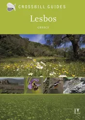 Omslag van Lesbos